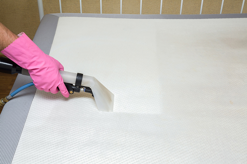 Mattress Cleaning Service in Crawley West Sussex
